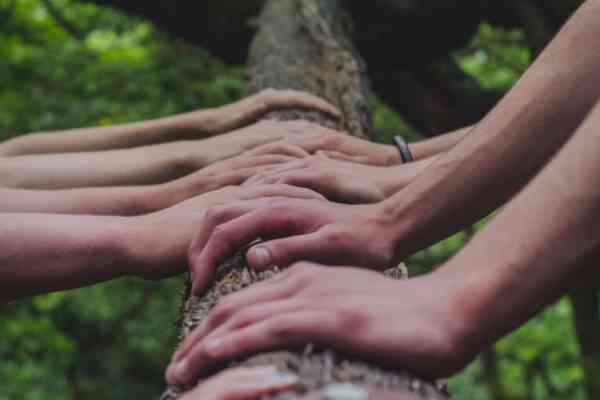 Teamcoaching in der Zahnarztpraxis - warum es Sinn macht