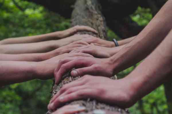 Teamcoaching in der Zahnarztpraxis - warum es Sinn macht