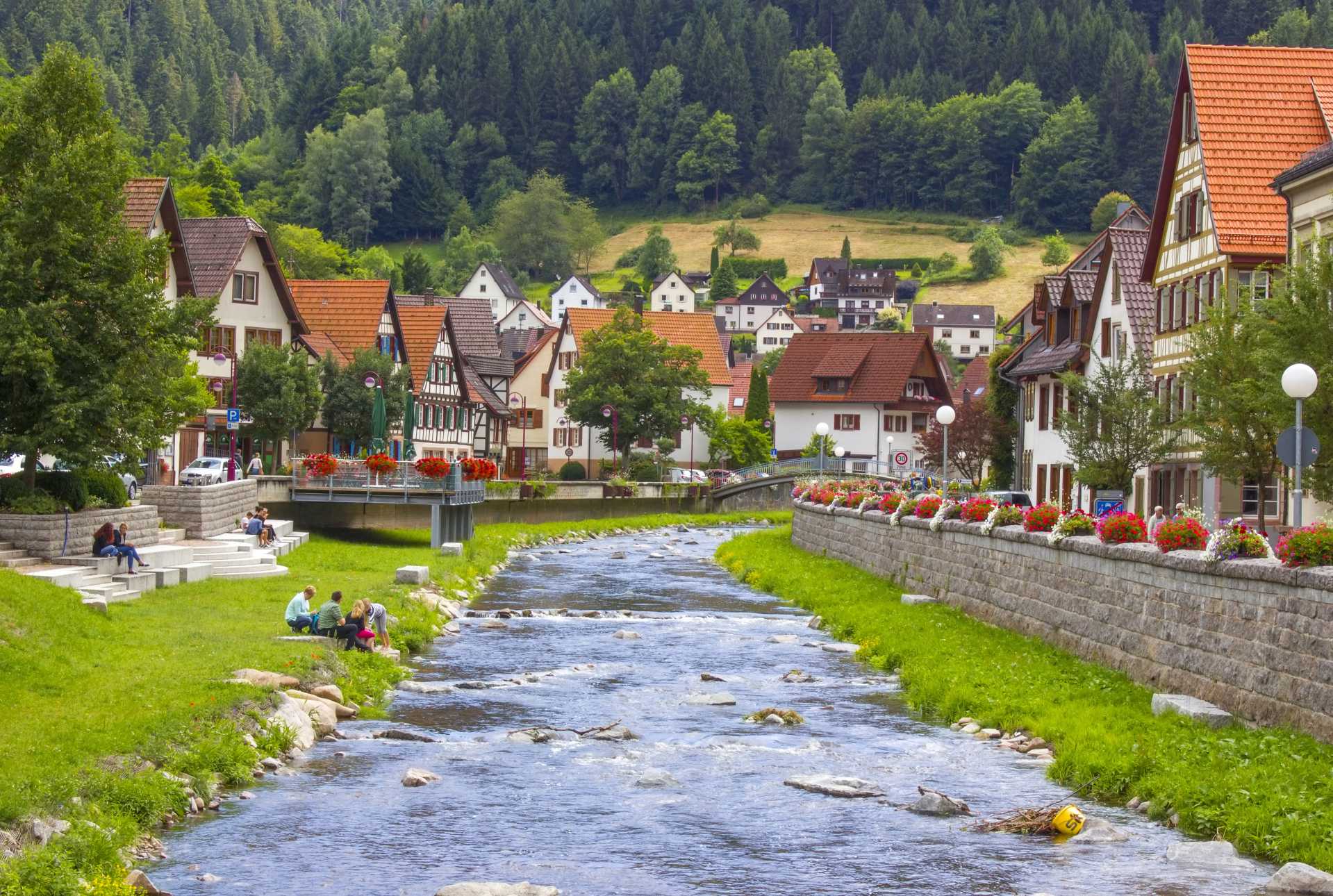 Idyllischer Ausblick für Zahnäzte mit einer Praxis auf dem Land.